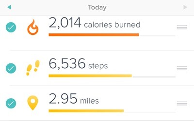 #FitReaders 2016 Update